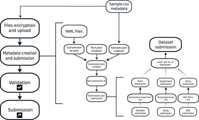 EGAsubmitter: A software to automate submission of nucleic acid sequencing data to the European Genome-phenome Archive